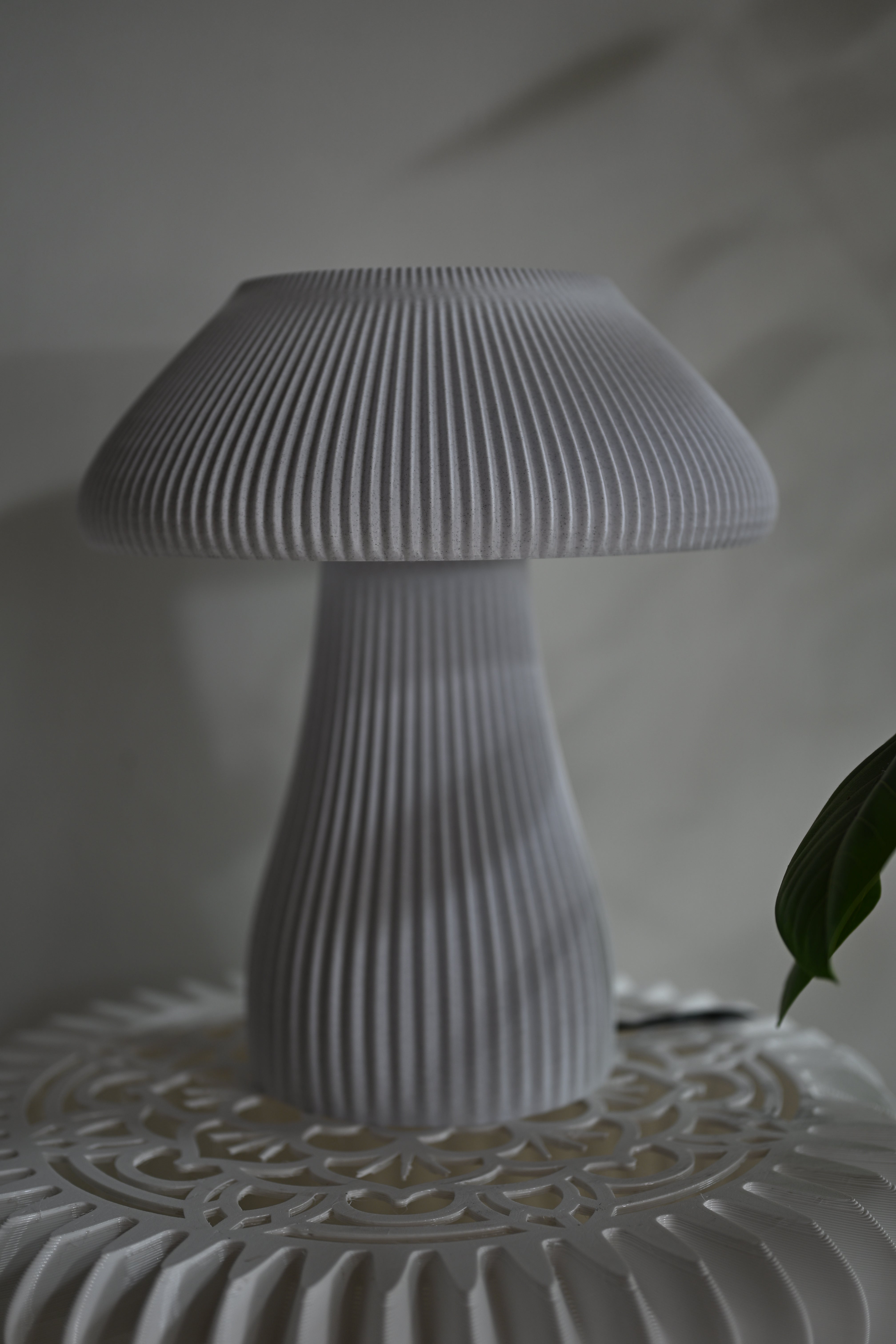 Morel