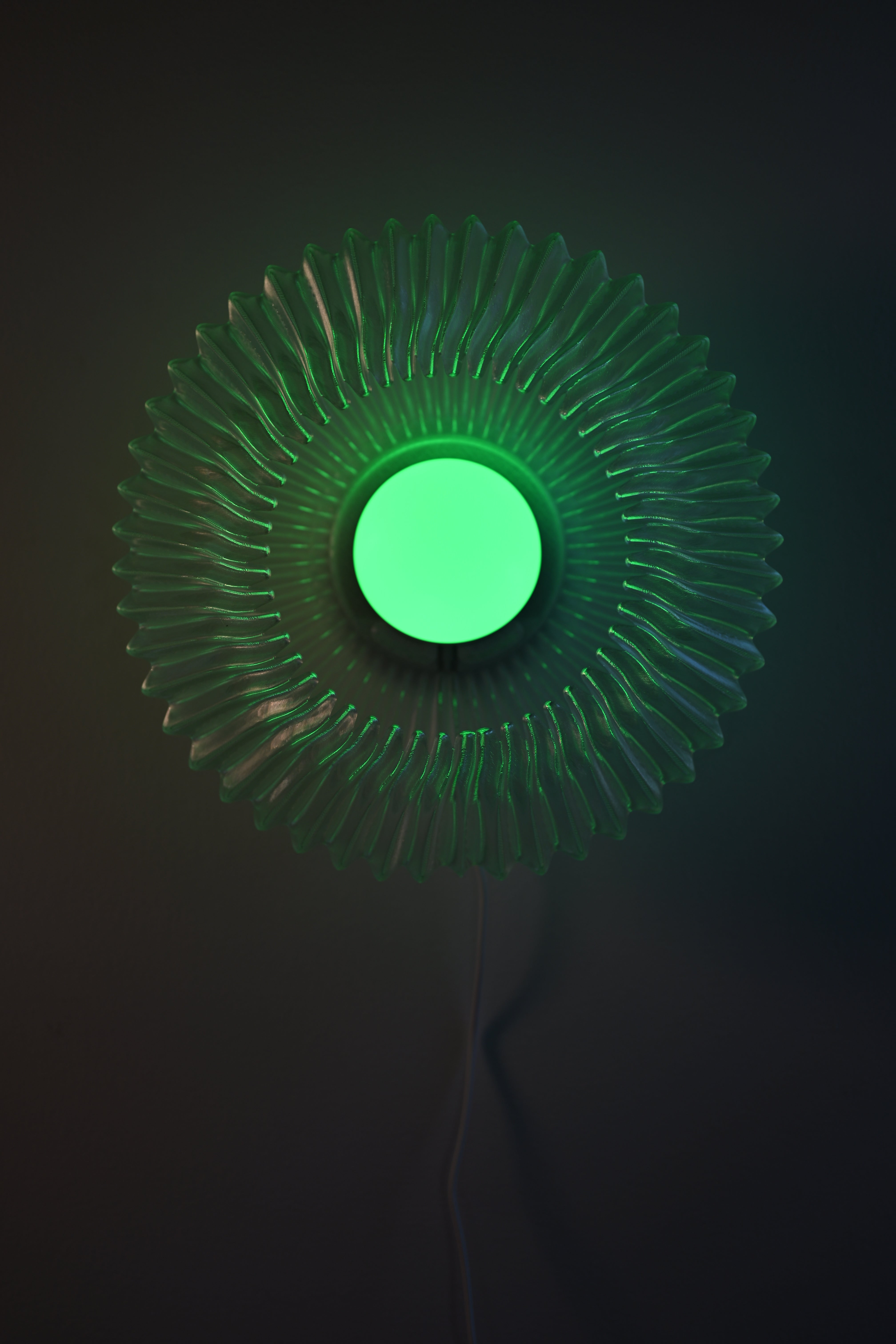 Orion Chrome Edition x Echo Glow