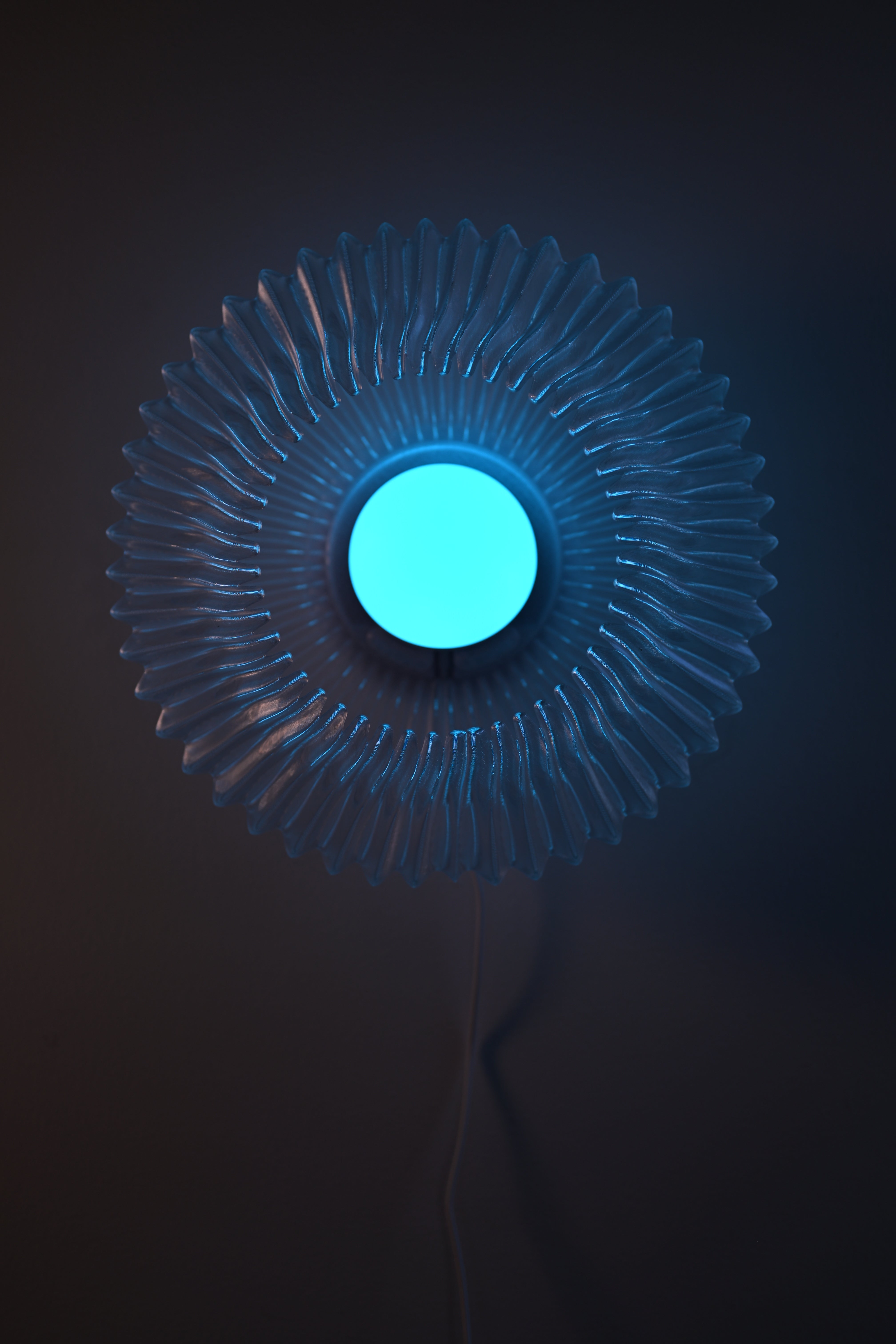 Orion Chrome Edition x Echo Glow
