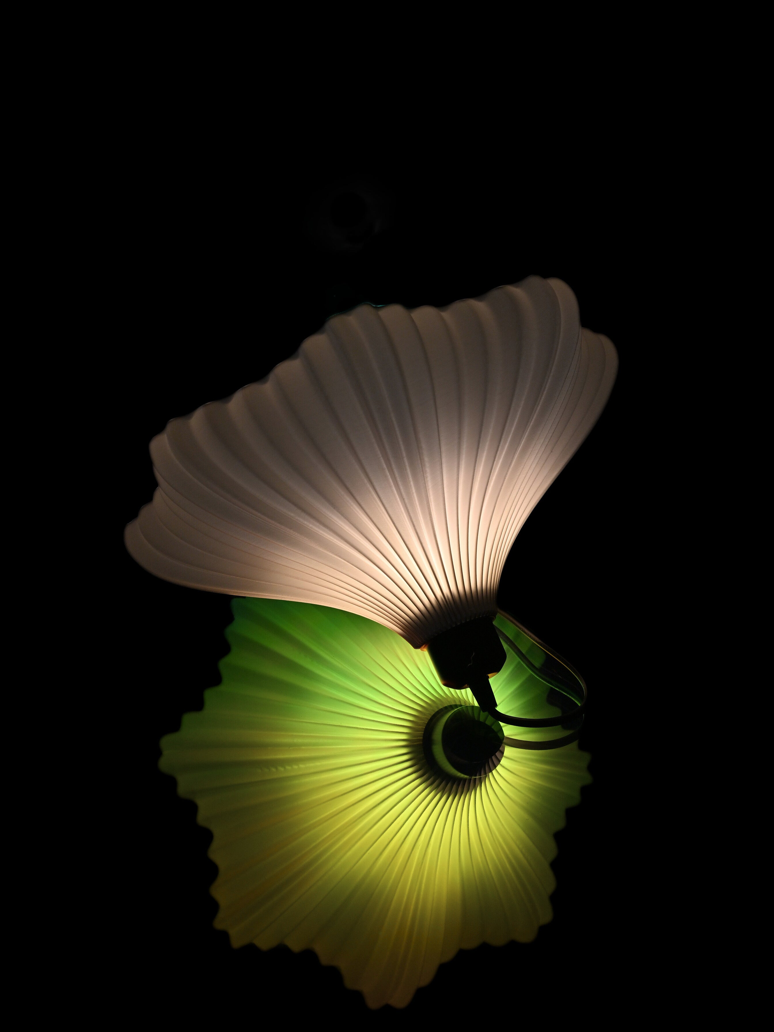 Star Shell Pendant