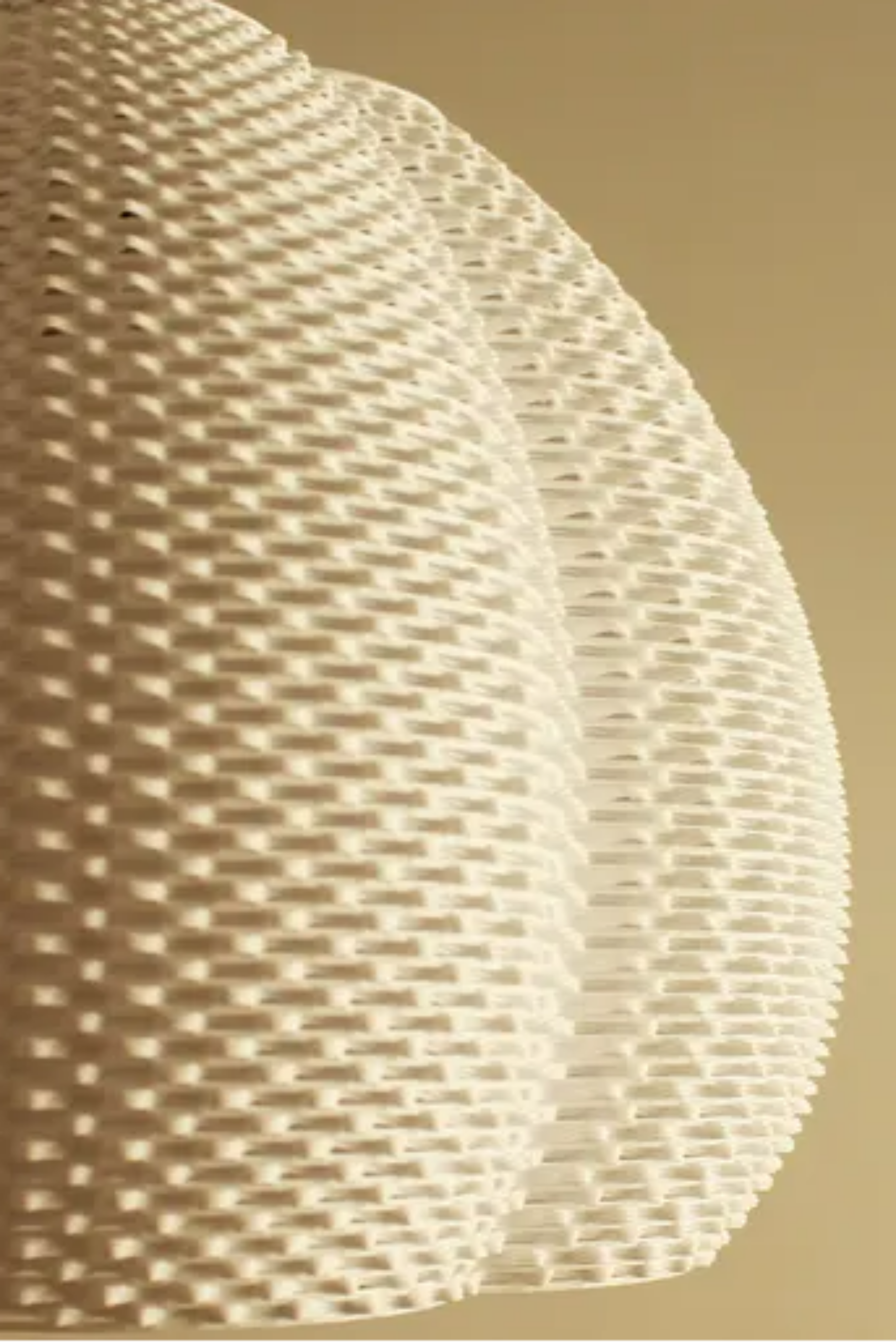 Dune Shell